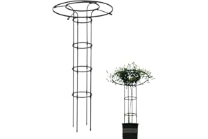 Dirfuny Jardin, Tuteur Plante Grimpante, Jardin Tuteurs Plantes, Treillis Fleur Soutien Arche Jardin en Forme Tour pour Plantes Grimpantes