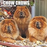 Just Chow Chows 2019 Wall Calendar (Dog Breed Calendar) by 