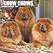 Just Chow Chows 2019 Wall Calendar (Dog Breed Calendar) by 