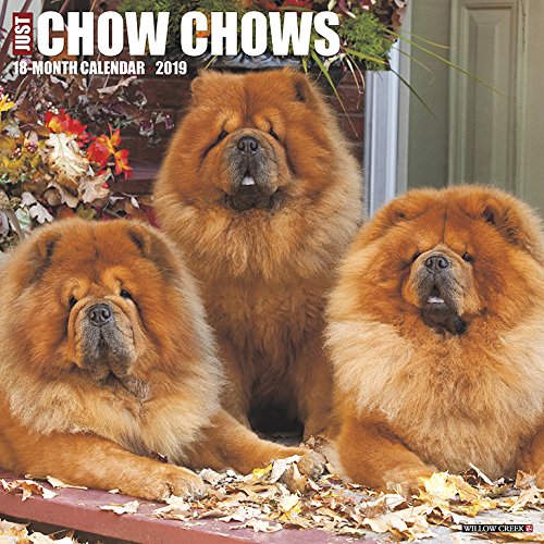 Just Chow Chows 2019 Wall Calendar (Dog Breed Calendar)
