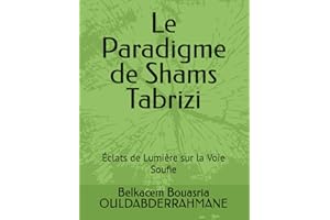le paradigme de Shams Tabrizi: Éclats de Lumière sur la Voie Soufie