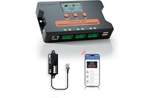 ECO-WORTHY 30A Solar-Laderegler mit Bluetooth & APP Überwachung, individueller Batterie- Controller für Solarpanels, Dual USB Ports Auto 12V/24V PWM für FLD/LiFePO4/SLD/GEL Wohnmobil Solar System