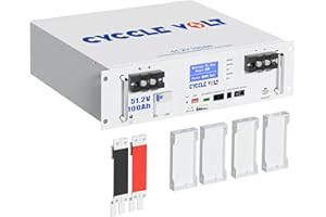 CYCCLEVOLT Batteria al litio 48V 100Ah LiFePO4, armadio batteria 48V LiFePO4, capacità 5kWh, display intelligente, interfaccia CAN e RS485, perfetta per camper, inverter solari, case, fotovoltaico