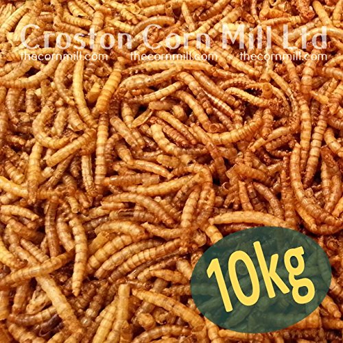 10kg Wheatsheaf Dried Mealworms for Wild Birds (2x5kg) by Wheatsheaf at
