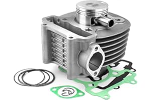 ACSUD CYLINDRE MAXISCOOTER TNT FONTE ADAPT. SYM FIDDLE 2 / JET 4 / SYMPHONY/PEUGEOT DJANGO/TWEET/SPEEDFIGHT 3 125CC 4TPS (axe Ã˜15)