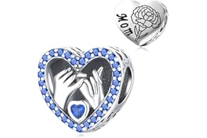 PHCLASY Perles Le cœur de l'amour Charms Argent Sterling 925 Breloque Bead Compatible pour Européen Bracelets et colliers Charms et perles pour femme
