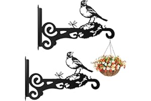 EMAGEREN 2 Pcs Suspension Plante Extérieur, Crochet Pot de Fleur Suspendu Fer Forgé, Support Mural Pot de Fleur, Crochet Suspension Plante en Forme de Pic, pour Panier Lanterne Mangeoire à Oiseaux