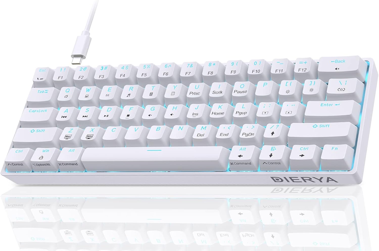 Vue 12