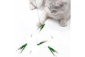 Hjvvr 3ps Cat Wand Toys, Simulated Insects Toys,Tease Wand Attachment,Feather Road Refill for Indoor Kitten,Fishing Rod Cat Toy Refills