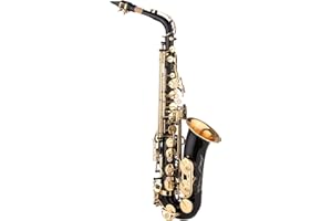 QIONGHA Saxophone Black Paint E-Flat Sax Compatible with Beginner Student Intermediate Player Brass EB Alto Saxophone with Mouthpiece Carrying Case Cleaning Cloth Brush Sax Straps