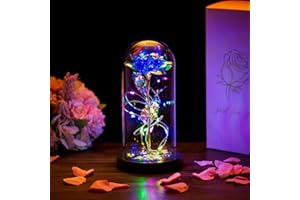 Glasseam La Bella Y La Bestia Rose En Cúpula De Cristal Luces LED Crystal Rose Flowers Regalo para Cumpleaños Aniversario San Valentín Boda Novia Esposa Mujeres