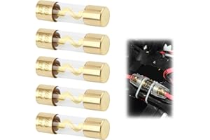 QAUM AGU Sicherung 60A, 5 Stück 60 Amp AGU Auto Audio Power Schutz, Sicherungen Glasrohr Nachfüllungen 12V-48V für Automotive, Marine, Audio Stereo, Schutz Sicherungens Sicherheit schützen
