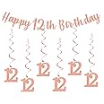 bng-bng 12th Birthday Party Decorations Girls Rose Gold With Happy 12th Birthday Bunting 12 Banner Hanging Swirls Streamers For Girls 12 Years Old Pre-teen Birthday Anniversary Decorations Party Decor