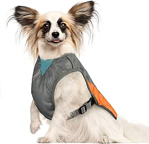 dog cooling vest amazon