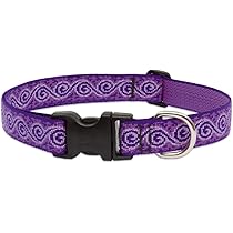 Lupine Verstellbares Hundehalsband, 2,5 Cm Breit – Gewebtes Nylon, Kaufsicher | Für Mittelgroße & Große Hunde