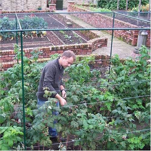 Deluxe 6' High Fruit Cage 6' Wide 12' Long