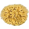 DIAQUA, Spugna Naturale, Beige (Natur)