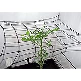 Tech-Garden Black Orchid Scrog Net 1.2 x 1.2 m - 120 x 120 cm Hydroponic Grow Room Scrog Net Tent Plant Support Netting Elast