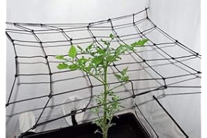 Tech-Garden Black Orchid 60 x 60 cm Hydroponic Grow Room Scrog Net Tent Plant Support Netting Elastic Hooked Grid Trellis Small