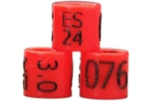 nestQ 1 bande 10 anneaux Canaris 2024 Couleur Rouge Fédérative Polychrome Gravé au Laser Fermé 3,0 mm Numérotés avec Année Marquée, 3.0, Plastique, Couleur : Rouge