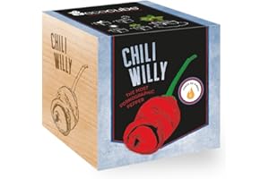 Feel Green Ecocube Chili Willy (Force Du Piment 6), The Most Pornographic Pepper, Idée Cadeau (100% Ecologique), Grow-Your-Own/Kit Prêt-àPousser, Plantes Dans Des Cubes En Bois, Produit En Autriche