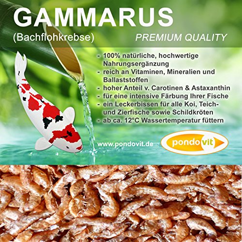 Gammarus (Bachflohkrebse) pondovit – Premiumsnack 5000 ml – Koi Leckerbissen, Koifutter - 2