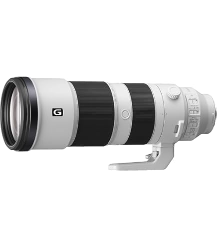 Sigma 60–600 mm F4.5-6.3 DG DN OS für Sony E-Mount: Amazon.de