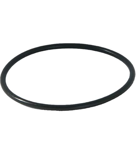 Ritzer By Syr Filterelement 2380.00.980 Und 2380.00.909 Für Syr Rückspülfilter Und Hauswasserstationen Von Ditech, Sanibel, Artiga