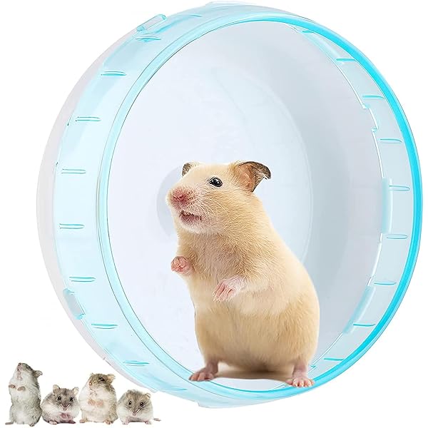 Tortoise Wheel Ware Metal Exercise Wheel Large Hamster