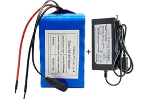 GNIUBBDB Batería de Litio para Bicicleta eléctrica, 24 V, 20 Ah, 7S3P, Paquete de batería de Iones de Litio con Cargador y BMS para Kit de Motor de Menos de 500 W XT60 Plug