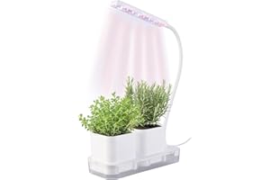 PEARL Mini serre : mini station de culture et de propagation, 2 pots, LED de croissance et réservoir d'eau (boîte de croissance, mini station de propagation, distributeur d'eau)