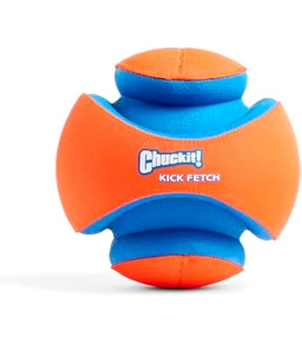Amazon Best Large Ball For Dogs Chuck It Launcher Chuckit! Big Air