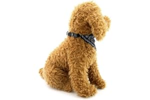 Ranphy Adorable petit bandana réglable pour chien et chat - Pour toutes saisons - Noir (animaux de petite race uniquement)