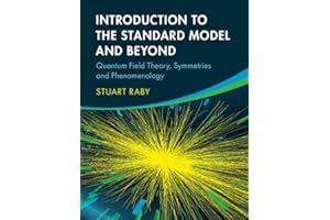 Introduction to the Standard Model and Beyond: Quantum Field Theory, Symmetries and Phenomenology