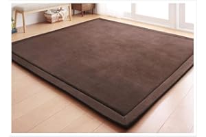 Loartee Teppich, Korallen-Samt, für Schlafzimmer, Wohnzimmer, Kinder, Arbeitszimmer, Küche, Kinderzimmer, Krabbeln, Wandern, Spiele, Yoga, Gymnastik, Nickerchen, Coffee, 200 * 300cm