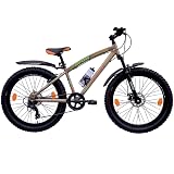 Cruiser Bike Sport Bicycle 