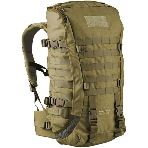 Wisport ZipperFox 40L Rucksack RAL 7013 : Amazon.de: Sport