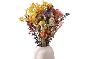 RosewineC 30 Stück Trockenblumen Deko Set Natürliche Don't Forget Me Rose Getrocknet Blumen Dried Flowers Pflanzen Blumenstrauß Boho Deko für Wohnzimmer Home Hochzeit Vasen Tischdeko