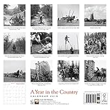 Image de A Year in the Country wall calendar 2016 (Art calendar)