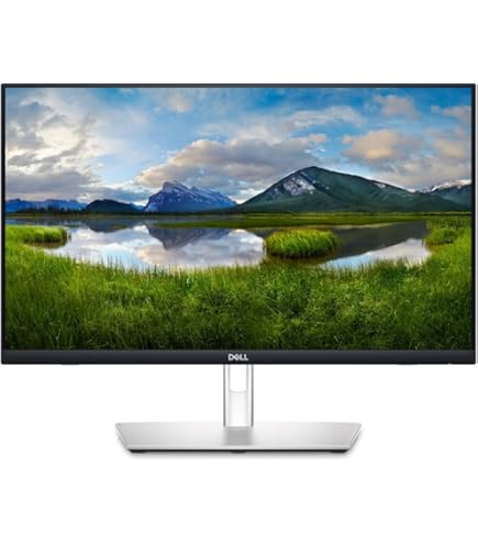 Dell P2418HT 24