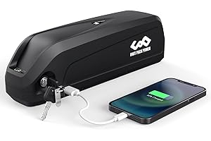 DICHOU Batterie de vélo électrique Hailong Ebike 36V 19.2Ah Down Tube, adaptée au kit de Conversion 250W 300W 350W 500W 700W