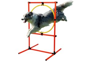 Kvittra Dog Agility Training Course Equipment, Jump Obstacle Course Obstacle Course - Training Starter Kit Indoor Outdoor Game for Dogs with Agility Hurdle, Jump Ring 19.68’’ in Diameter
