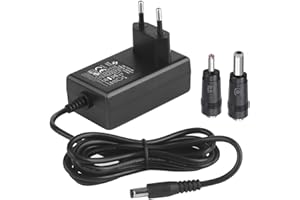 Security-01 Adattatore di alimentazione DC 24 V 1 A, spina 5,5 mm x 2,1 mm con punte selezionabili 5,5 mm x 2,1 mm, 3,5 mm x 1,35 mm