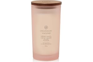 CHESAPEAKE BAY CANDLE Chesapeake Bay Scented Candle | Stillness + Purity Large Tumbler Aromatherapy Candle | Burn Time: Up to 82 Hours | Mind & Body Collection