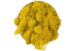 VERDE STABILIZZATO Lichene stabilizzato sfuso da 250g/500g - 100% naturale vivo conservato - vari colori - per decorazioni, modellismo, terrario, parete (Giallo, 500g)