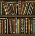 Price comparison product image Brewster FD40546 Bookcase Wallpaper - Antique Gold
