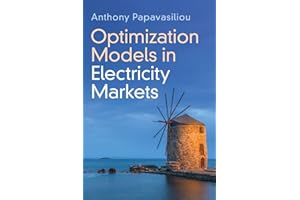 Optimization Models in Electricity Markets
