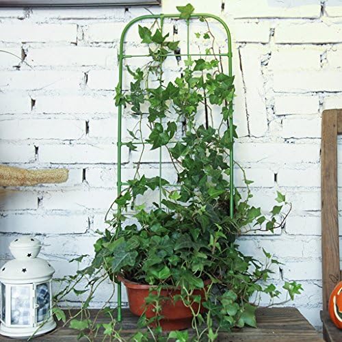 Flower racks, Climbing rattan Stent Clematis Climbing frame Climb the flower stand Climbing rattan plant Rose flowers pillar 60 ร 13cm (Size : 60*13cm)