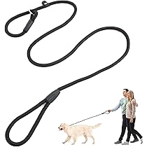 Amazon Waist Lead For Dog Elevate Your Dog Walking Experience With
