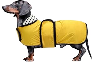 MOREZI Chubasquero impermeable para perros salchicha, salchicha, corgi, razas de espalda larga con rayas reflectantes, gran cobertura en otoño e invierno, amarillo, talla XS